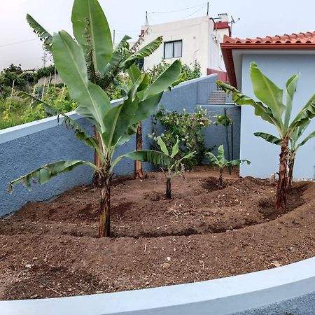 Calheta Paradise Holiday Home Arco da Calheta  Exterior photo