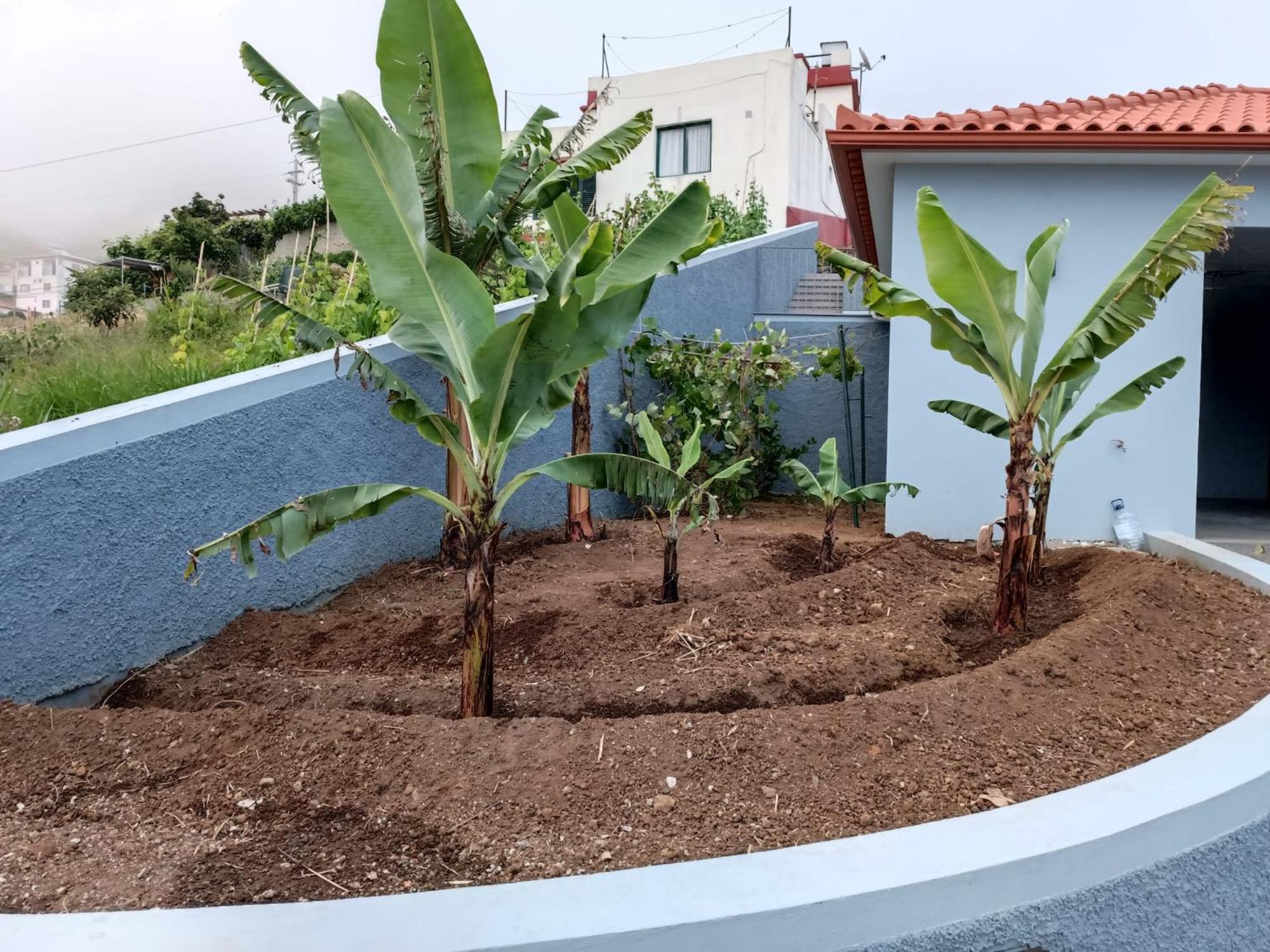 Calheta Paradise Holiday Home Arco da Calheta  Exterior photo